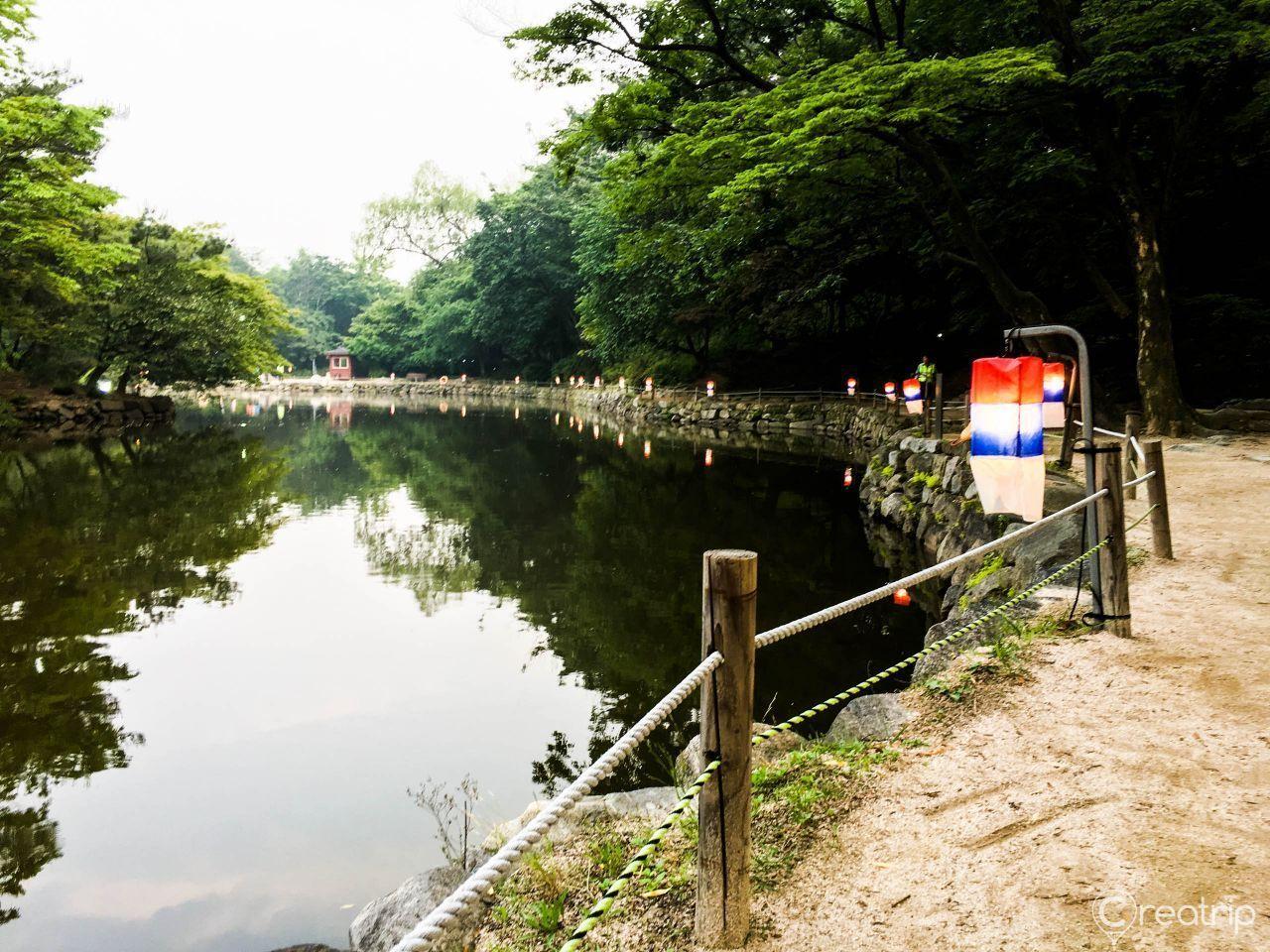 korea, seoul, travel, bus, 143, hyehwa, insadong, changgyeonggung palace, gwangjang market, n seoul tower, namsan, myeongdong, express bus terminal, haebangchon, gyeongridan-gil, sinsa garosu-gil, line friends, hangang park