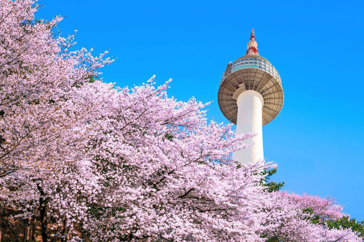 korea, seoul, travel, bus, 143, hyehwa, insadong, changgyeonggung palace, gwangjang market, n seoul tower, namsan, myeongdong, express bus terminal, haebangchon, gyeongridan-gil, sinsa garosu-gil, line friends, hangang park