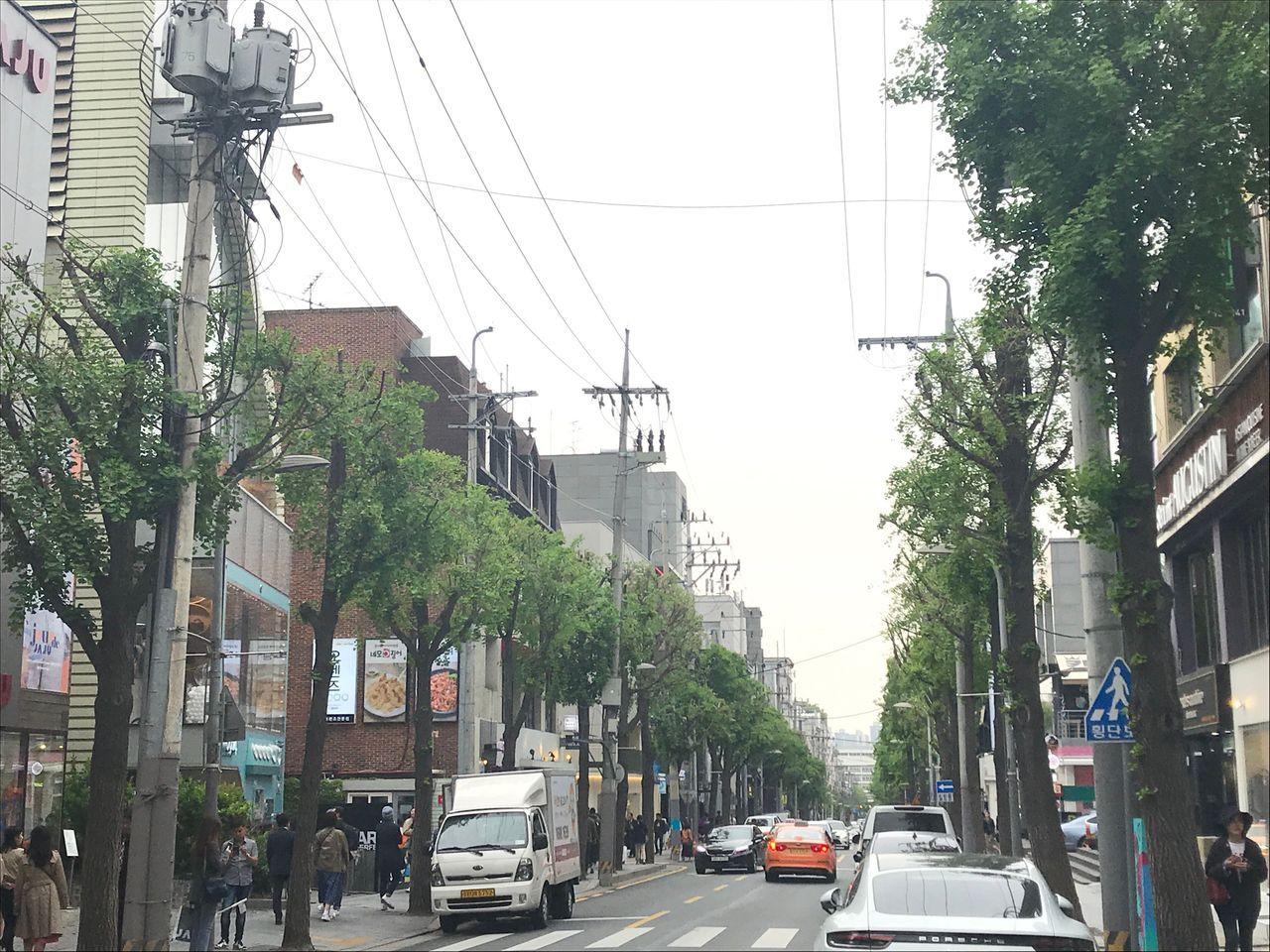 Enjoy fun and meaningful tour! Going through Gyeongbokgung, Sinsa Garosu-gil, and other line 3 stations