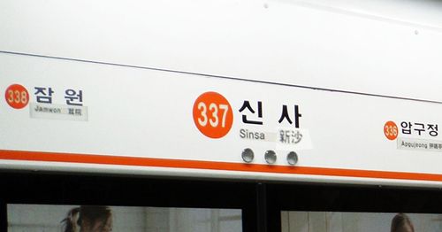 Enjoy fun and meaningful tour! Going through Gyeongbokgung, Sinsa Garosu-gil, and other line 3 stations