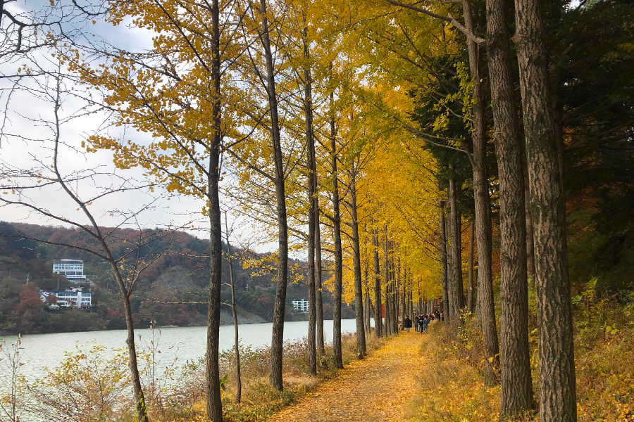 韓國 秋天 景點
