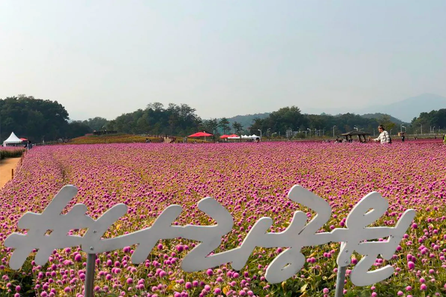 韓國 秋天 景點