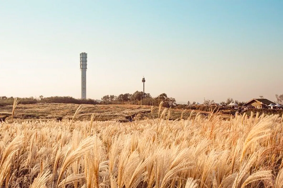 韓國 秋天 景點 首爾秋天