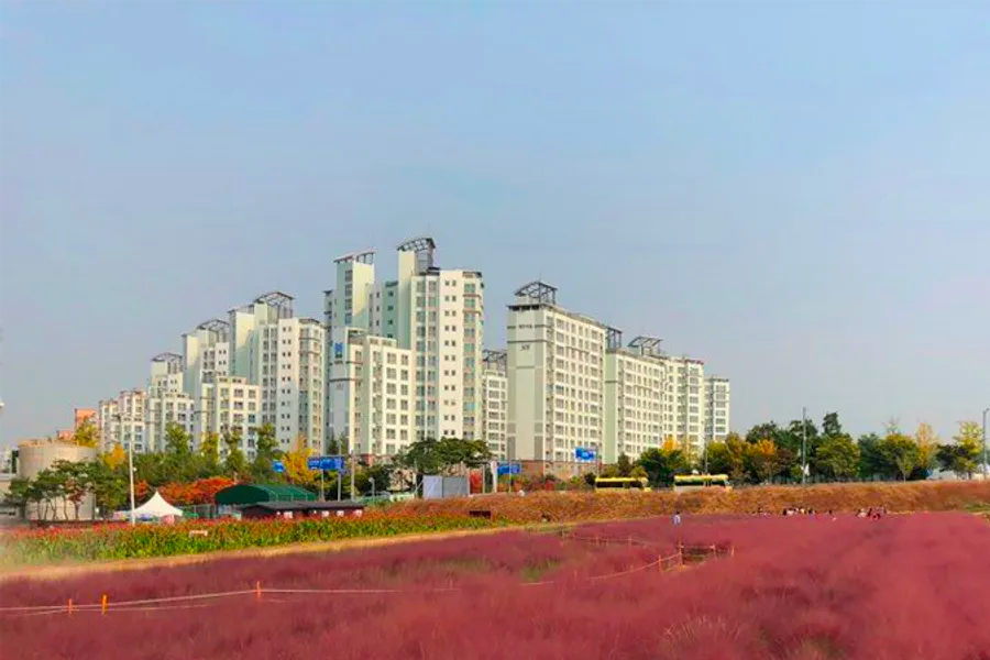 韓國 秋天 景點