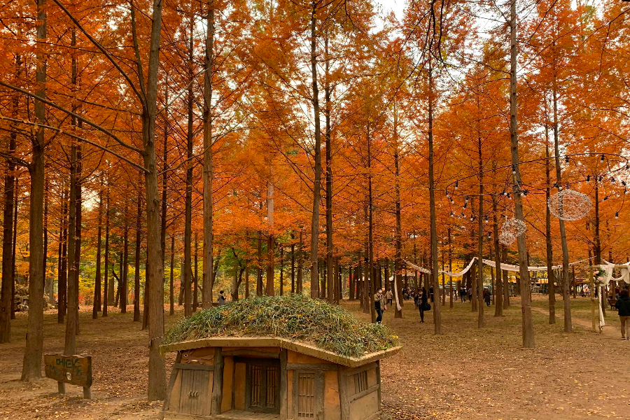 韓國 秋天 景點