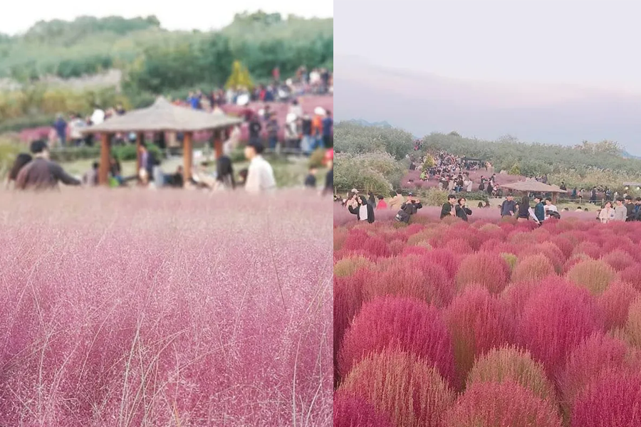 韓國 秋天景點 首爾2025