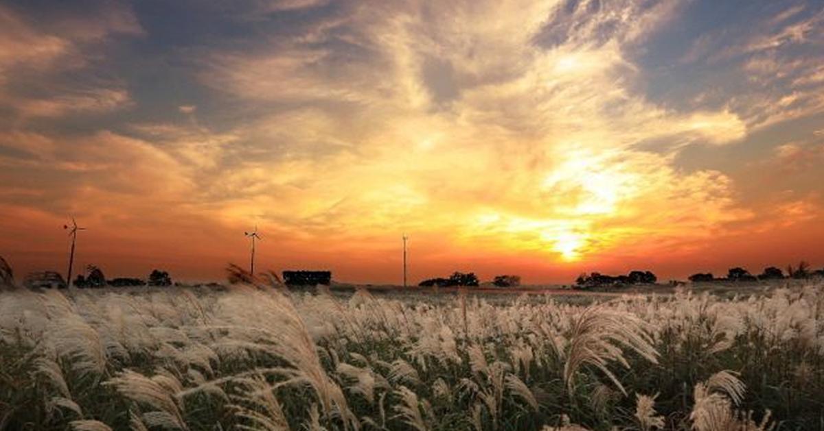 Photo Spots for the Best Fall Pictures!