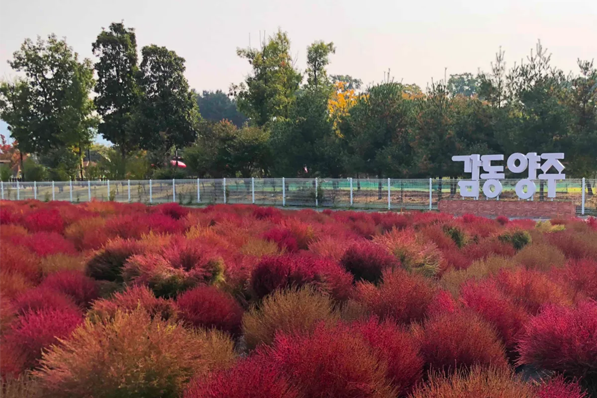 韓國 秋天 景點