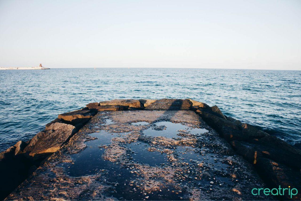 註文津海岸防波堤上的人群，遊客們享受海風，背景是碧藍大海。