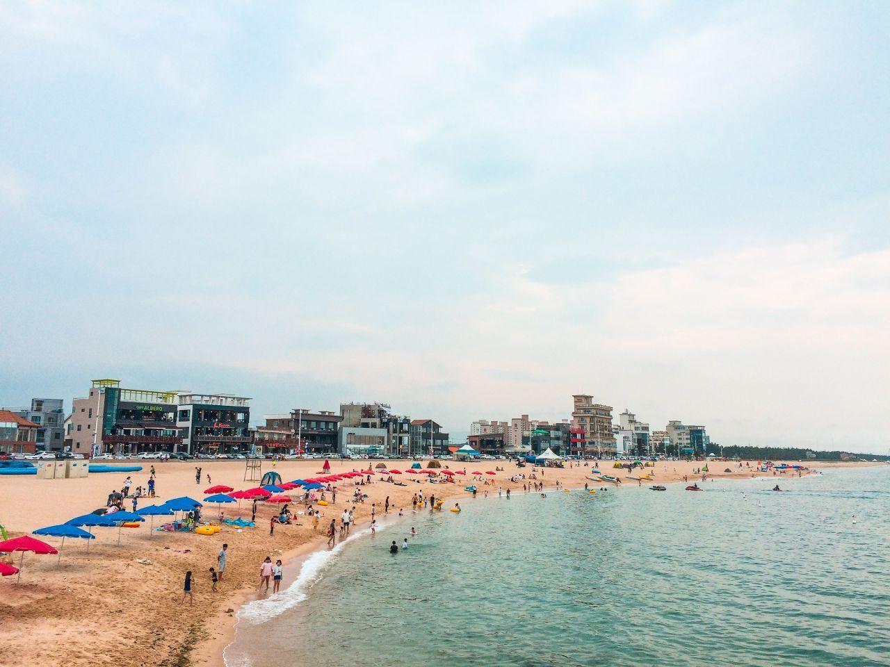 安木海邊的蔚藍海景，天空與海水相接，沙灘上點綴著幾隻小鳥。
