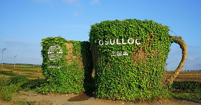 韩国必去O'sulloc介绍