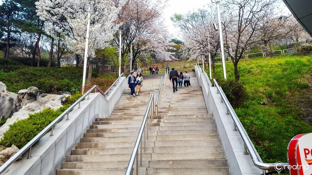 Seoul Hanseong University & Hyehwa