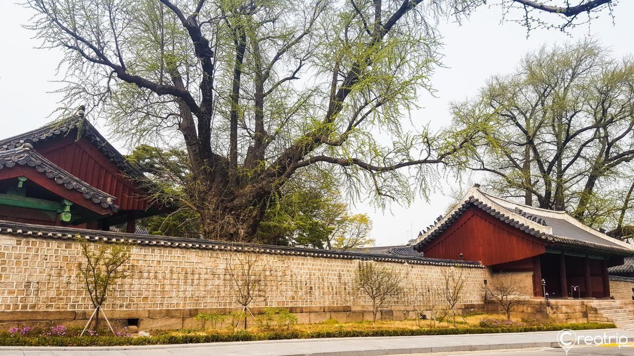 Seoul Hanseong University & Hyehwa