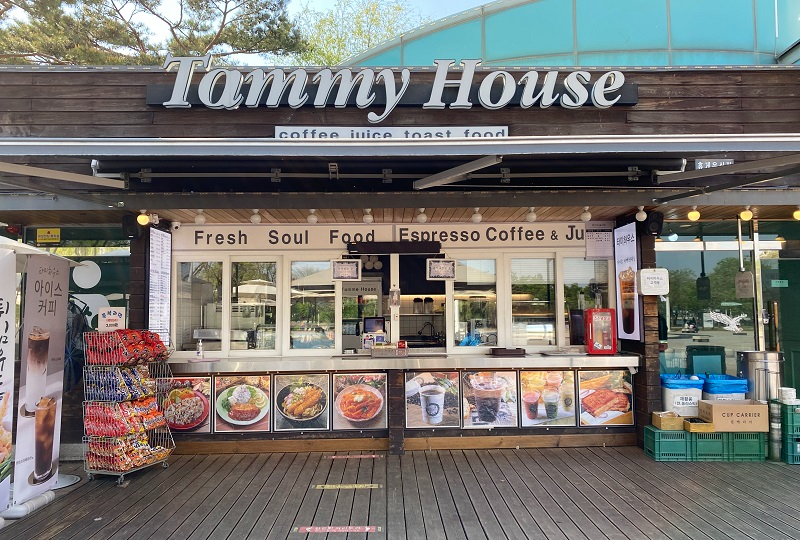 首爾 天空公園 2025