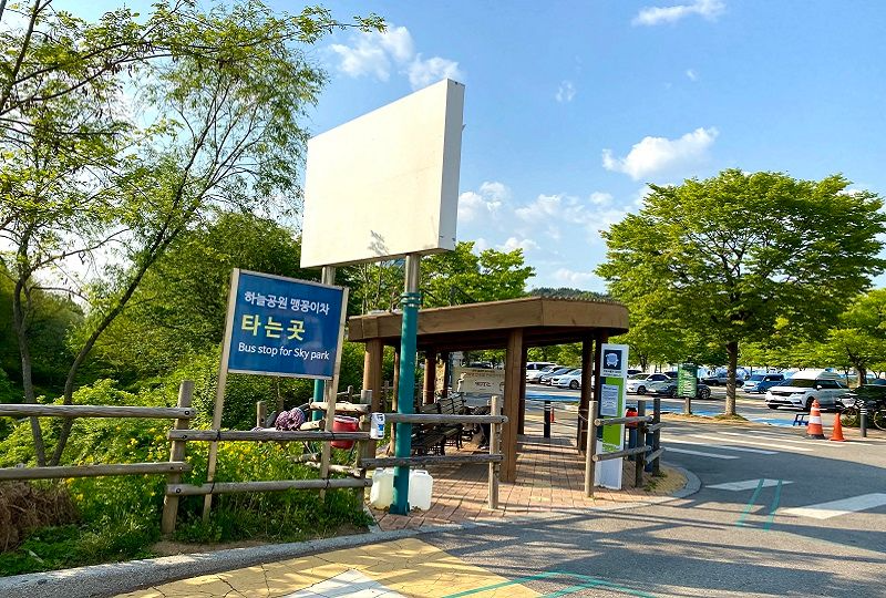 首爾 天空公園 2025