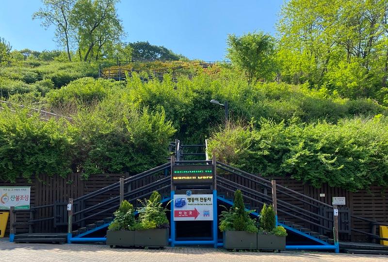 首爾 天空公園 2025