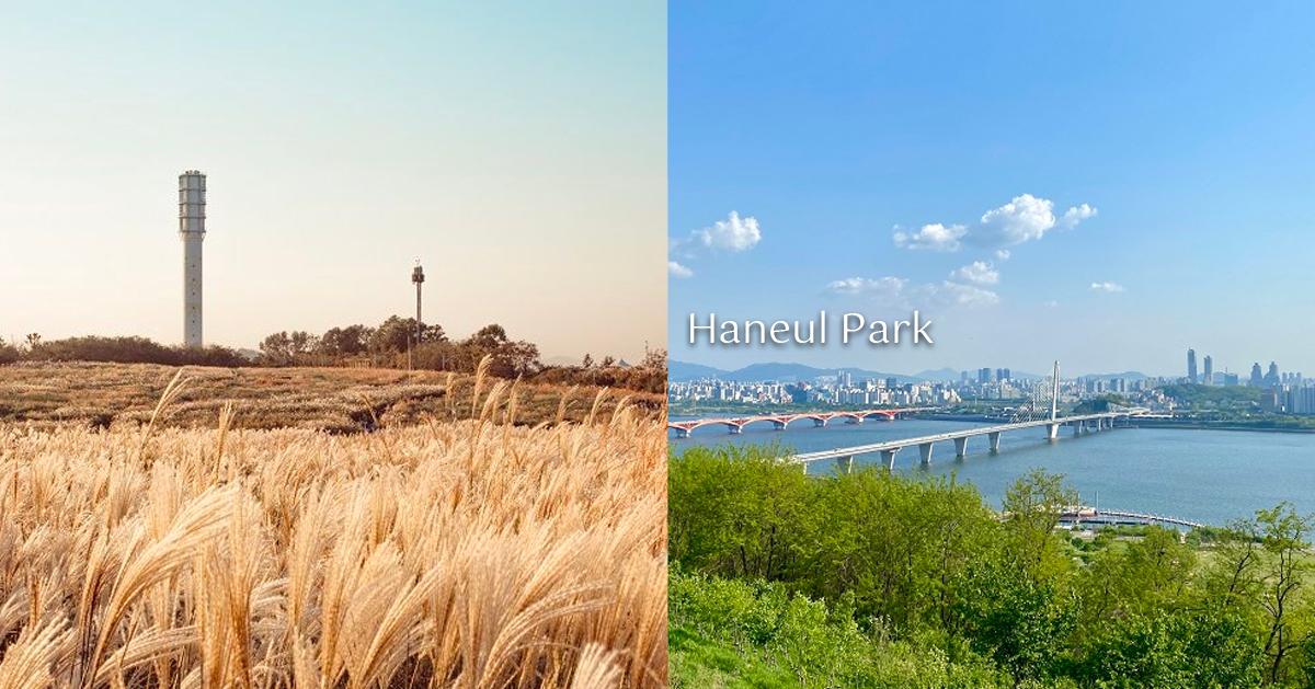 首爾「天空公園」探訪