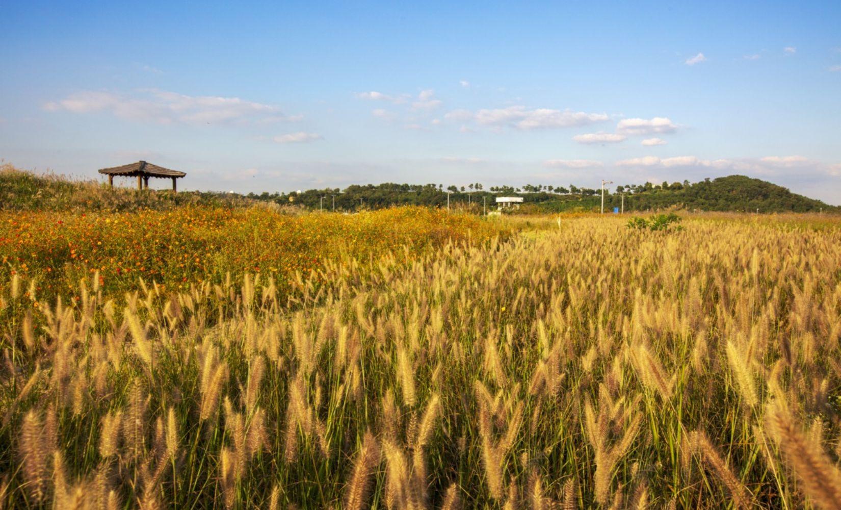 天空公園總整理