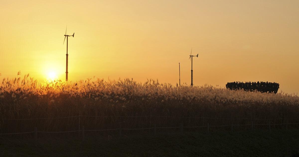 麻浦公園｜ハヌル公園
