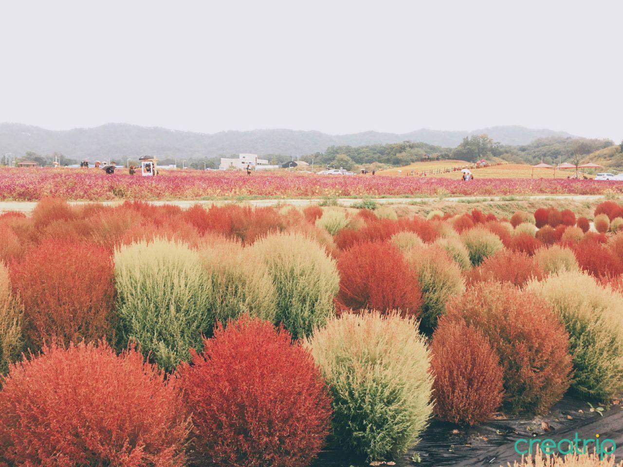 【Seoul Metro Tour_Line 1】Best Things to Do On The Metro Line 1 (Dark Blue Line) Pt.1 of 2