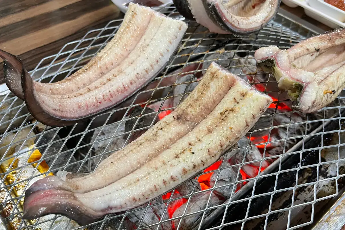 2025 弘大美食 首爾弘大美食推薦 首爾弘大必吃餐廳