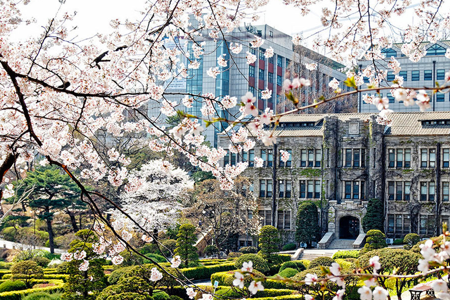 韓國 語學堂 2025