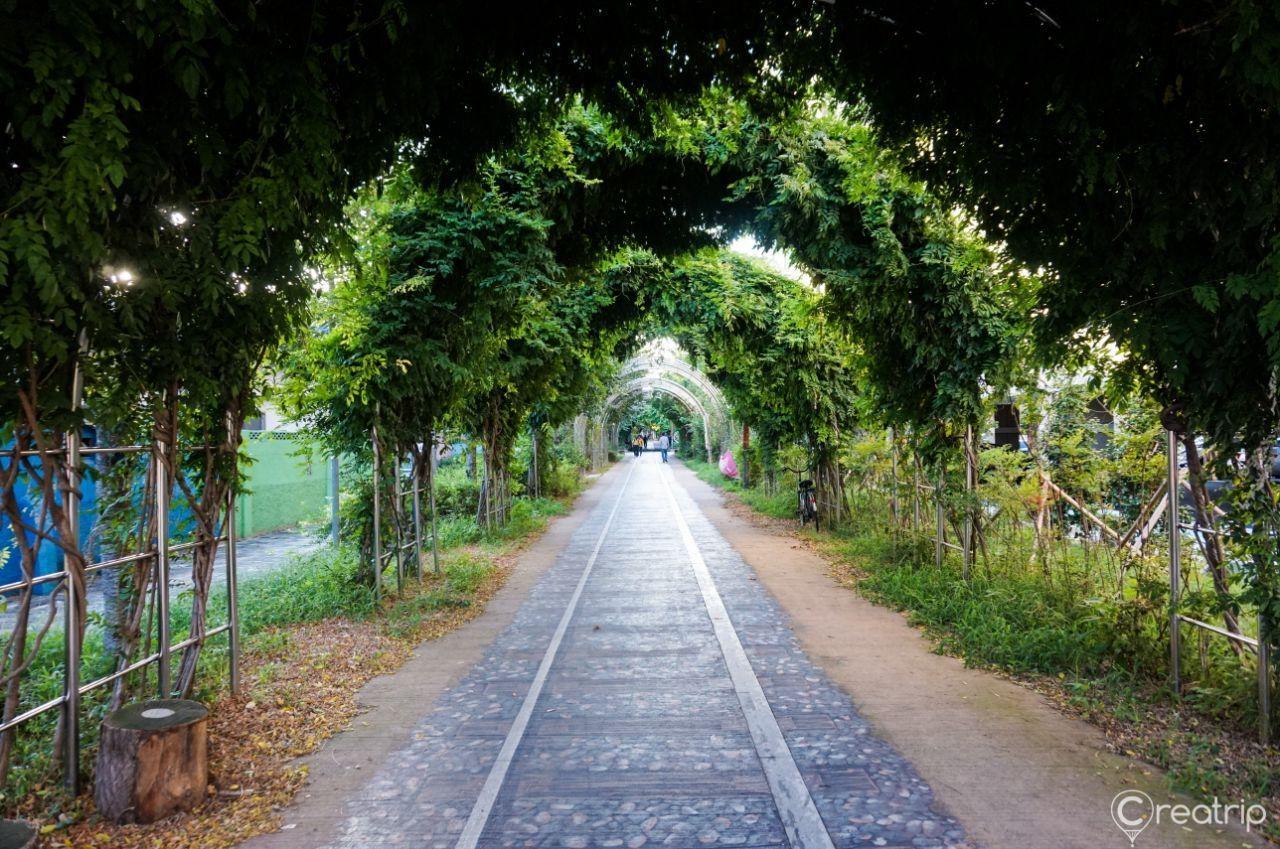 대구 옹기종기 행복마을의 벽화로 아기자기한 작은 그림들이 나열되어 있는 이미지. 소소하면서도 자연스러운 공간을 연출합니다.