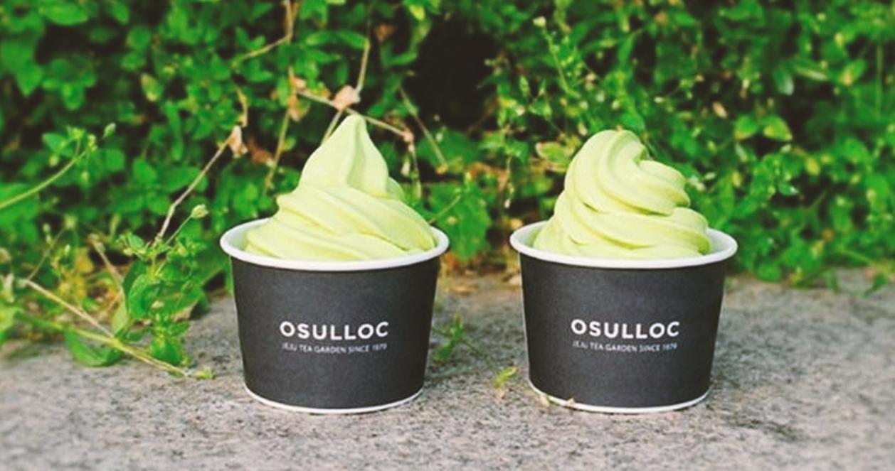 두 개의 컵에 담긴 오설록 녹차 아이스크림이 녹색의 잎사귀가 걸쳐진 배경 앞에 놓여 있습니다.