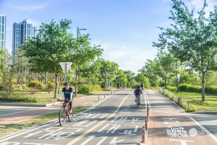 2025 漢江 蠶院漢江公園