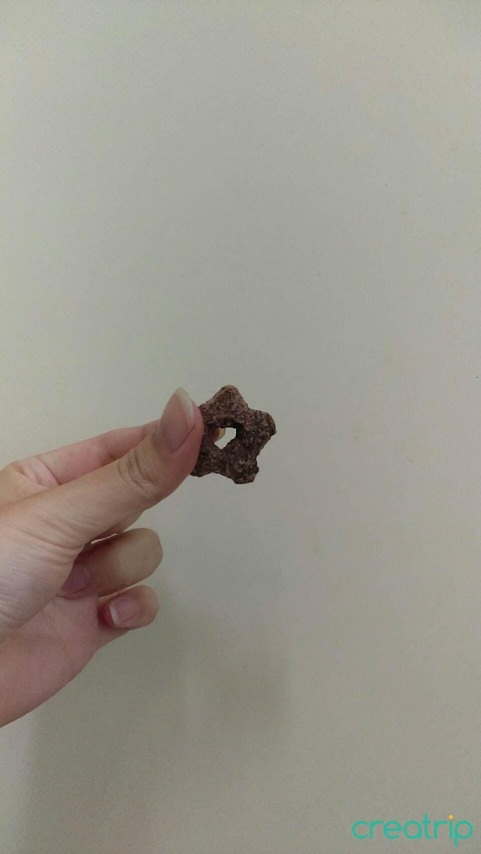 手持單個韓國Choco star星星巧克力餅乾，顯示其獨特的星星造型和豐富的巧克力味。