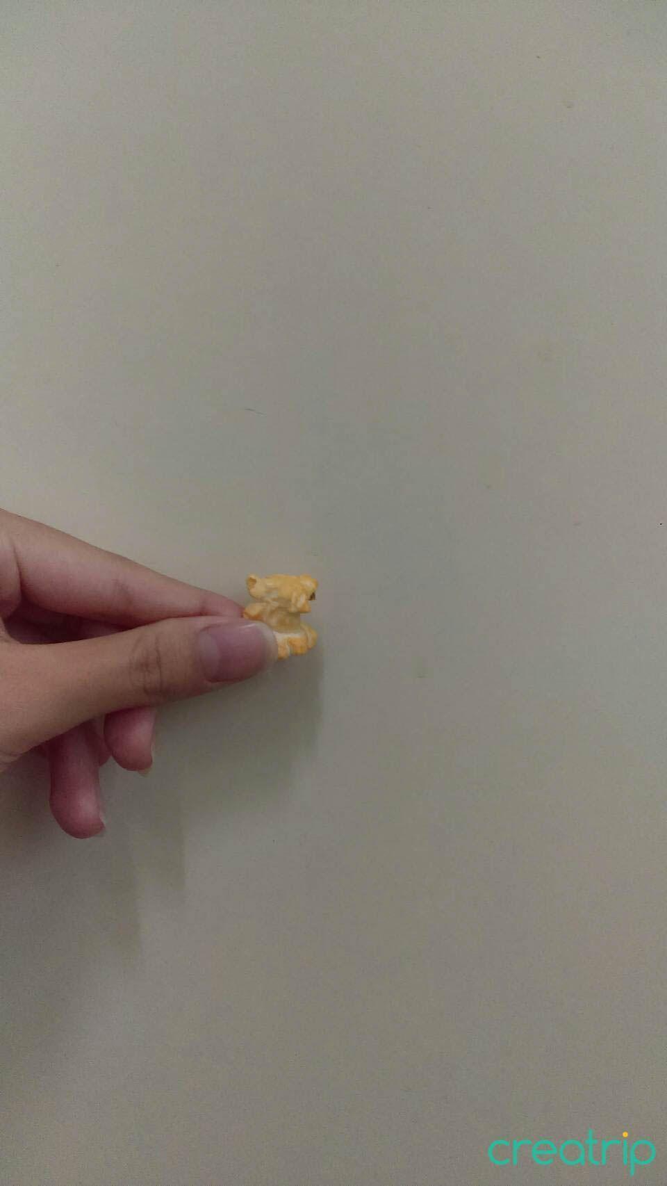 單顆韓國切達起司爆米花，展示其豐富的起司外層及豐滿的顆粒。