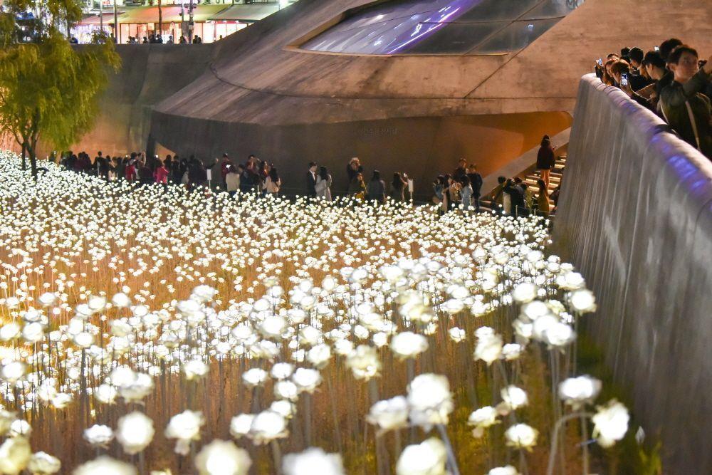 สถานที่ที่ควรเดินทางไปตามรถไฟใต้ดินสาย 4 (สายสีน้ำเงิน)~ เส้นทางการช็อปปิ้งยอดนิยมของคนเกาหลี!