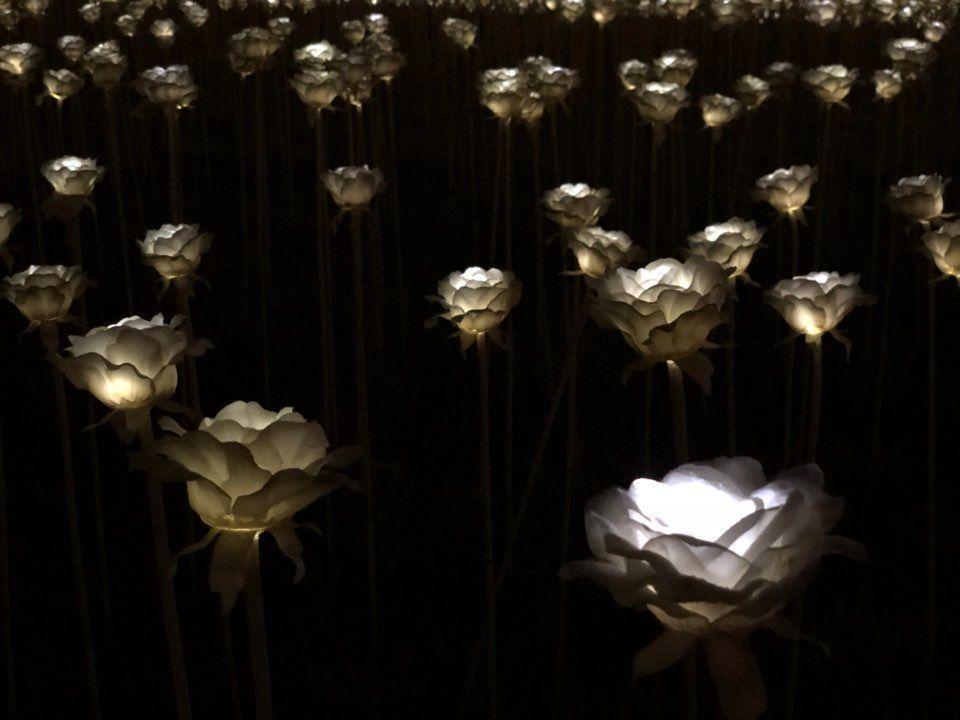 สถานที่ที่ควรเดินทางไปตามรถไฟใต้ดินสาย 4 (สายสีน้ำเงิน)~ เส้นทางการช็อปปิ้งยอดนิยมของคนเกาหลี!