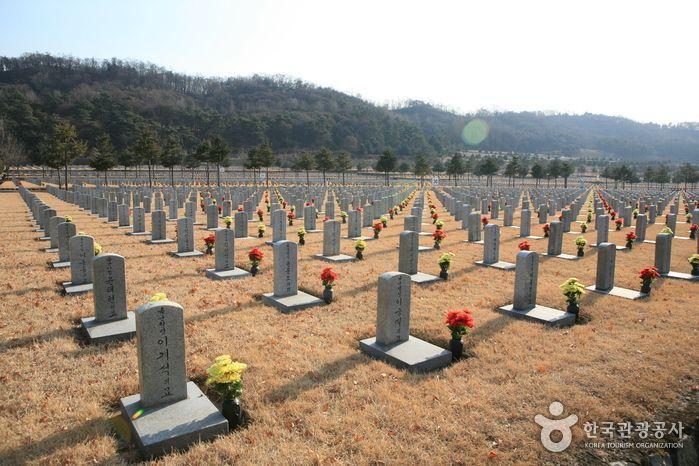 สถานที่ที่ควรเดินทางไปตามรถไฟใต้ดินสาย 4 (สายสีน้ำเงิน)~ เส้นทางการช็อปปิ้งยอดนิยมของคนเกาหลี!