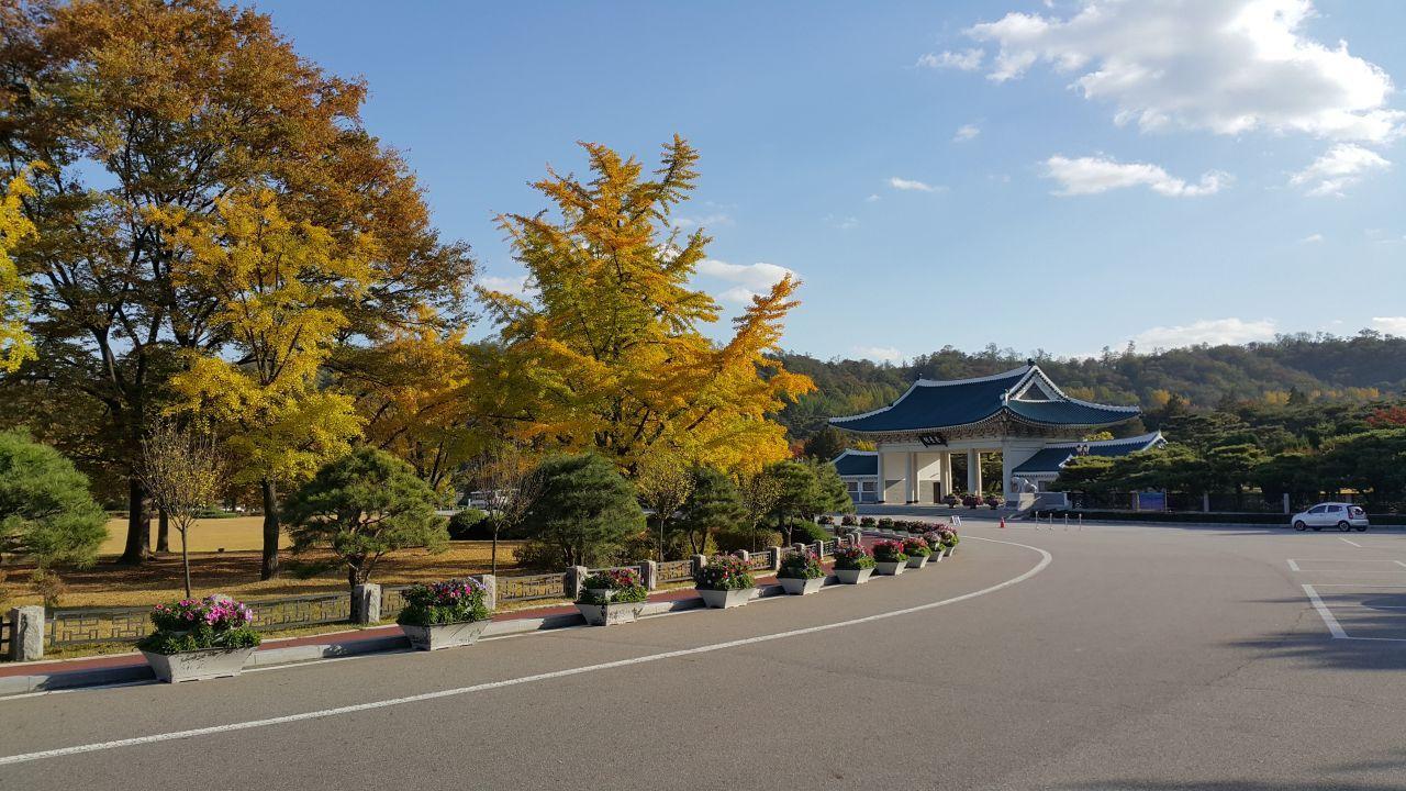 สถานที่ที่ควรเดินทางไปตามรถไฟใต้ดินสาย 4 (สายสีน้ำเงิน)~ เส้นทางการช็อปปิ้งยอดนิยมของคนเกาหลี!