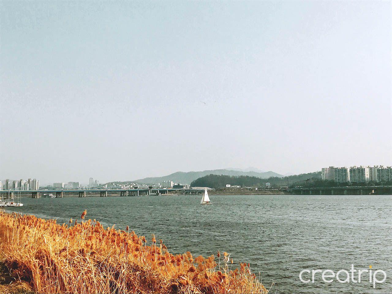 สถานที่ที่ควรเดินทางไปตามรถไฟใต้ดินสาย 4 (สายสีน้ำเงิน)~ เส้นทางการช็อปปิ้งยอดนิยมของคนเกาหลี!