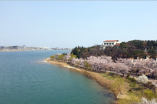 The attractive architecture of the Expo Bridge in Sokcho, Gangwon-do, part of the Sokcho city tour route.
