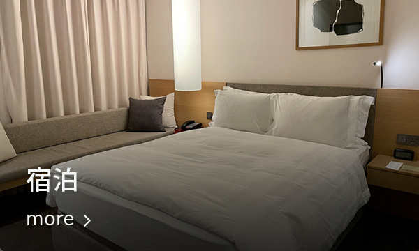 ソウル、COEXモールと連結した三成洞エリアのホテル内装