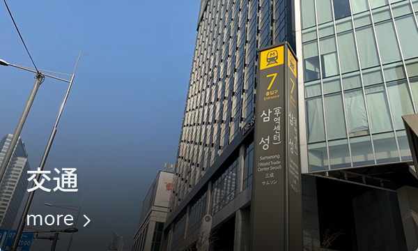 ソウルの三成洞エリアでの交通案内標識と背後のビルディング