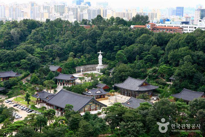 從高處俯瞰都市中心的奉恩寺，展示出寺廟與現代都市的完美融合。