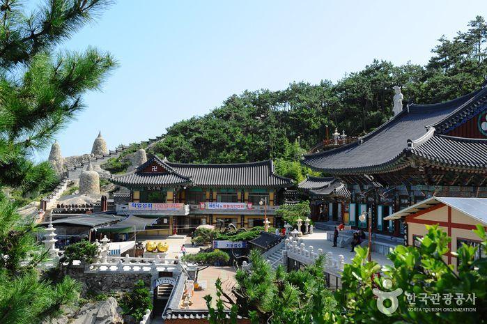 2025 Complete Busan Guide On Everything