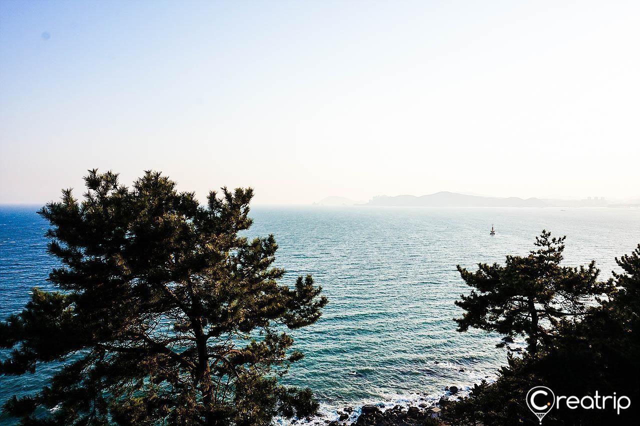 2025 Complete Busan Guide On Everything