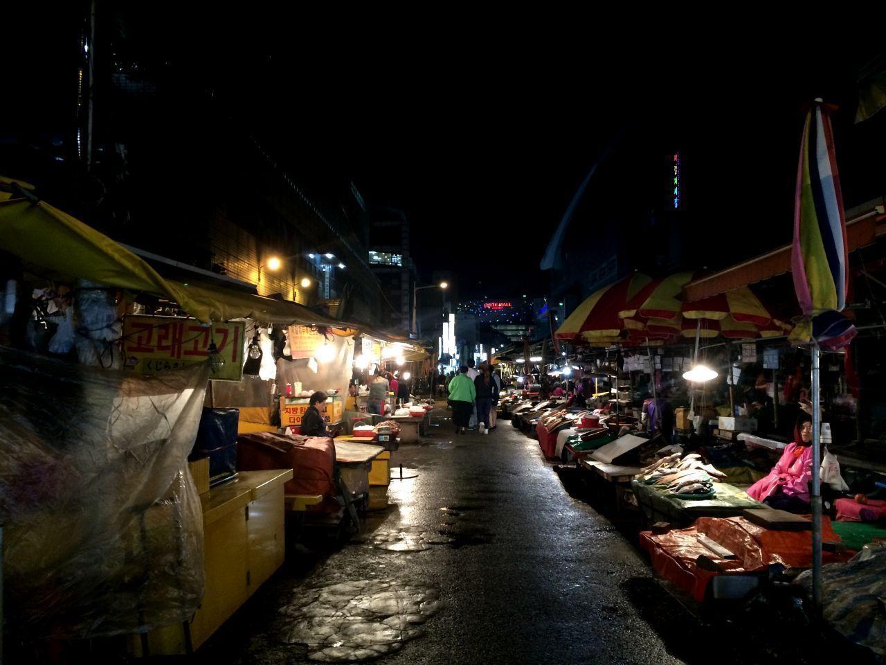 2025 Complete Busan Guide On Everything