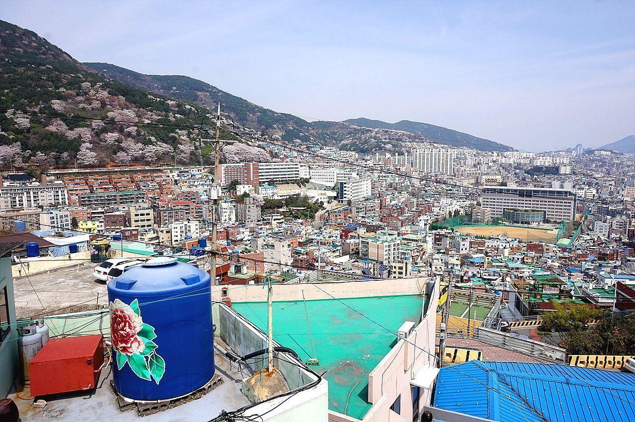 2025 Complete Busan Guide On Everything