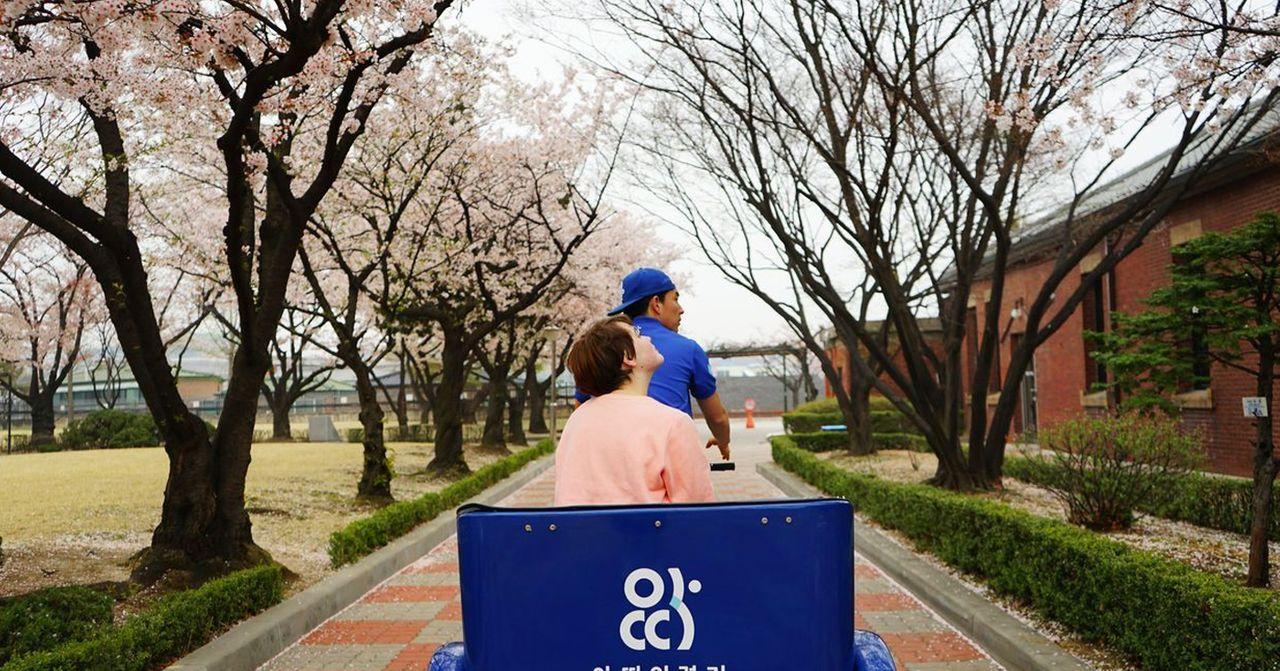 位於首爾的ARTEE人力車，途經繁花盛開的小徑，享受春季的浪漫氛圍。