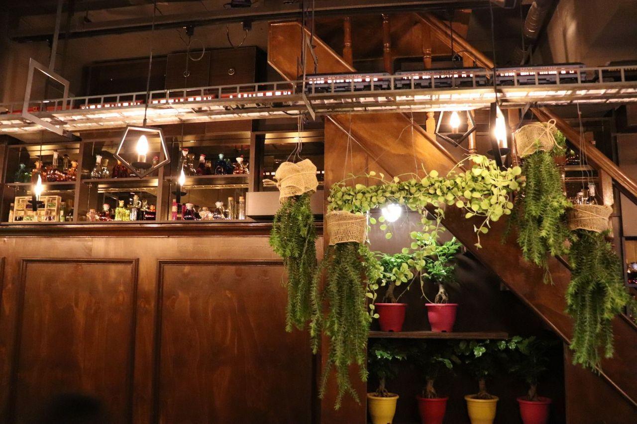 [Busan Cafes] Eight great cafe recommendations around Haeundae, Seomyeon, and Nampodong!