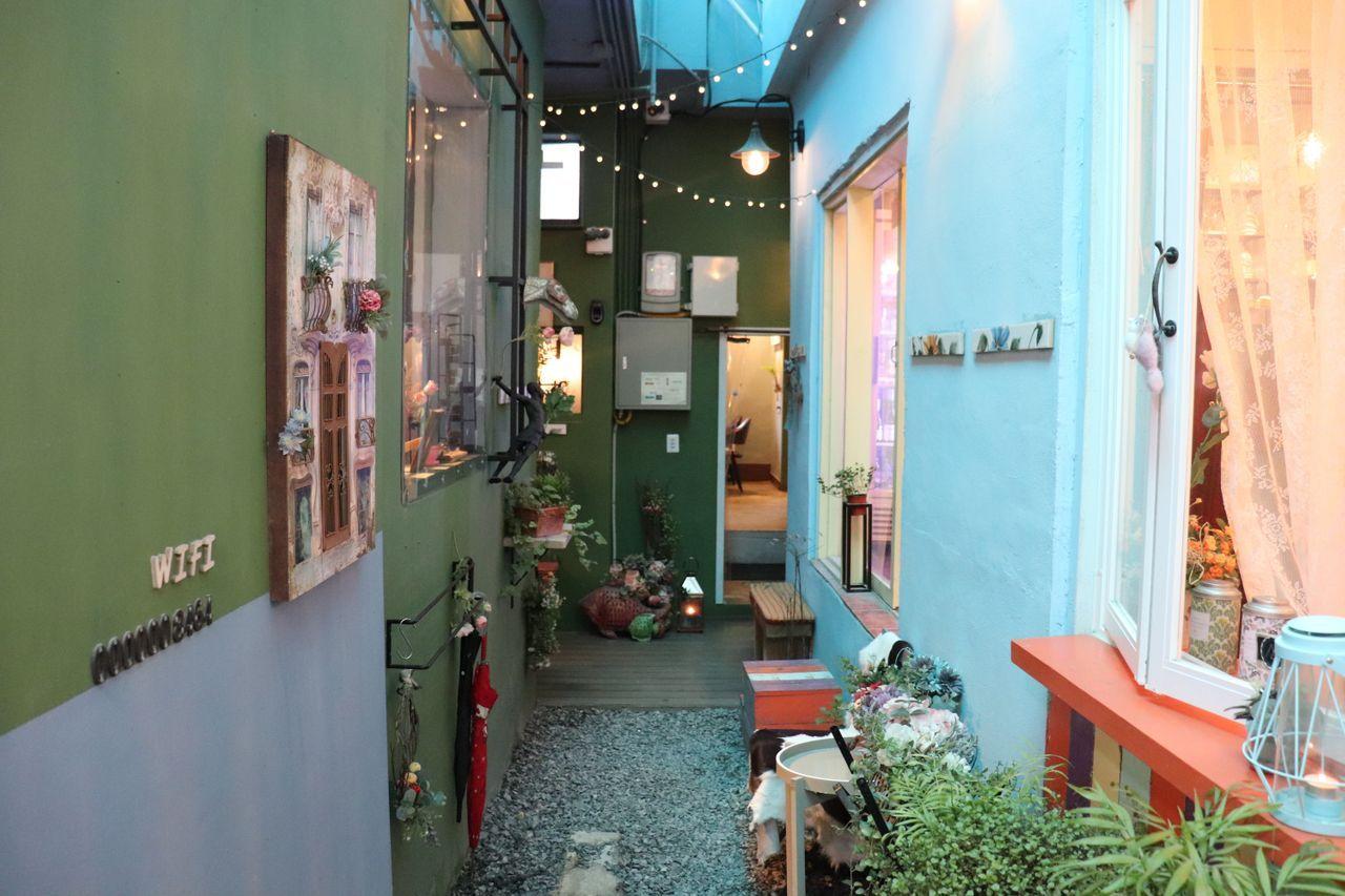 [Busan Cafes] Eight great cafe recommendations around Haeundae, Seomyeon, and Nampodong!