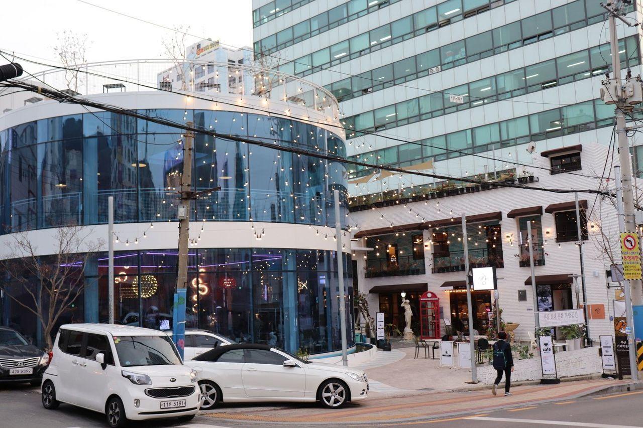 [Busan Cafes] Eight great cafe recommendations around Haeundae, Seomyeon, and Nampodong!