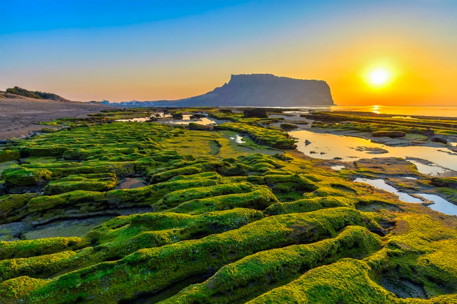 Serene and picturesque sunrise at Jeju's Seongsan Ilchulbong, a popular New Year's first sunrise destination in Korea, highlighting the natural beauty and quiet majesty of Jeju Island.