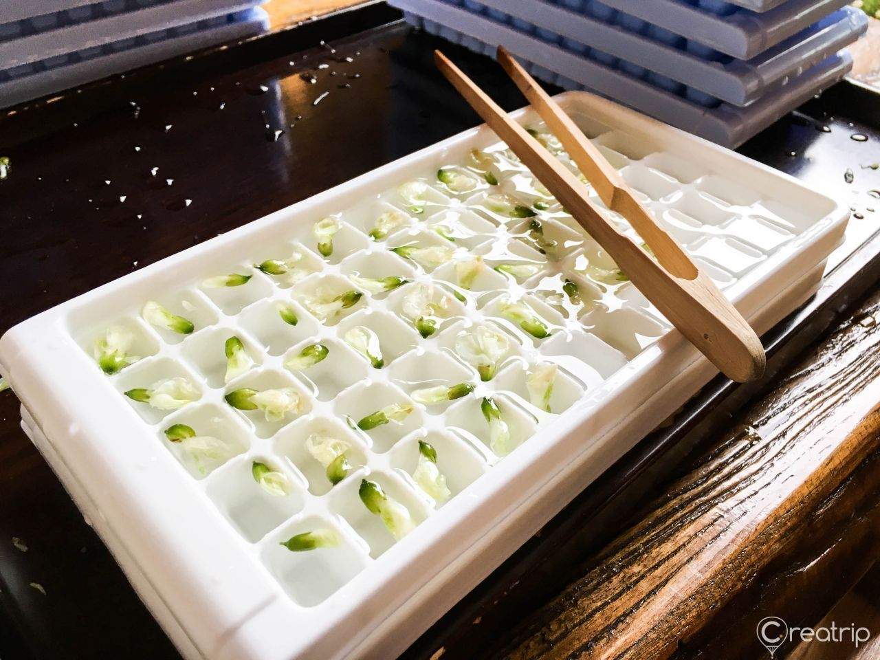 2025 Beautiful Cafes in Gyeongbok Palace, Seoul